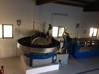 Frangitura delle olive frangitore